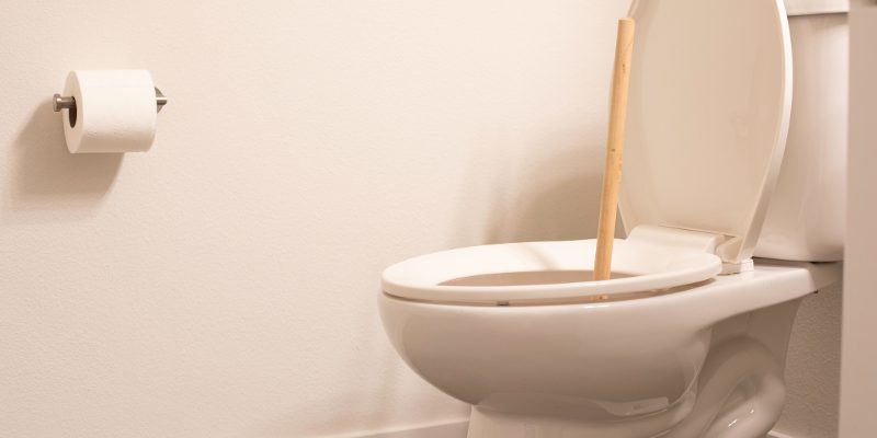 Toilets in Louisburg, North Carolina