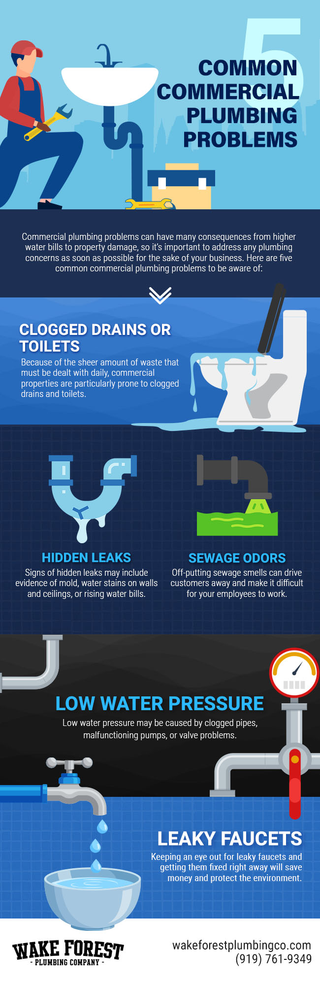 5 Common Commercial Plumbing Problems [infographic]